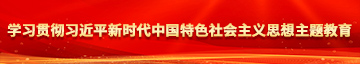 肥骚屄学习贯彻习近平新时代中国特色社会主义思想主题教育